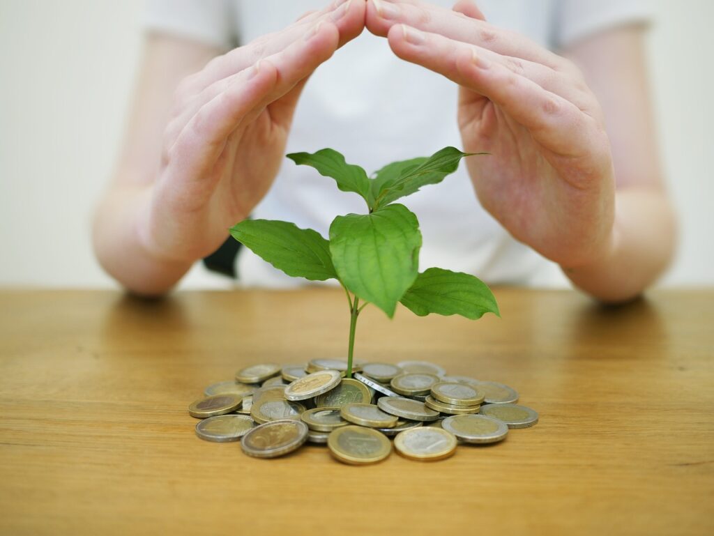 Invista um valor fixo por mês (o famoso “investimento automático”) Ver dinheiro crescendo