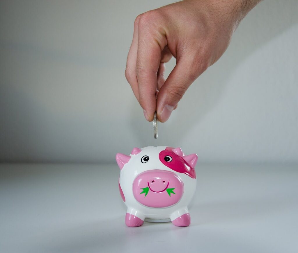 Reinvestir os rendimentos é plantar novamente